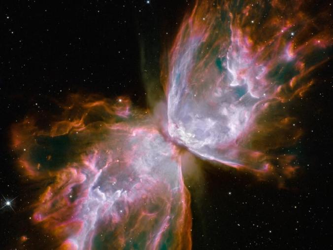 butterfly nebula